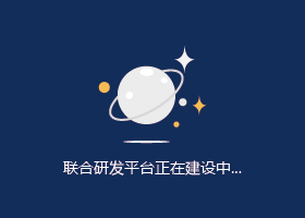 在研项目